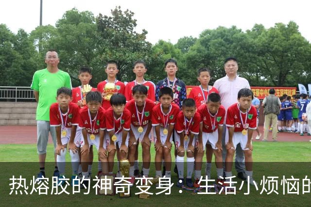 热熔胶的神奇变身：生活小烦恼的终极解决者